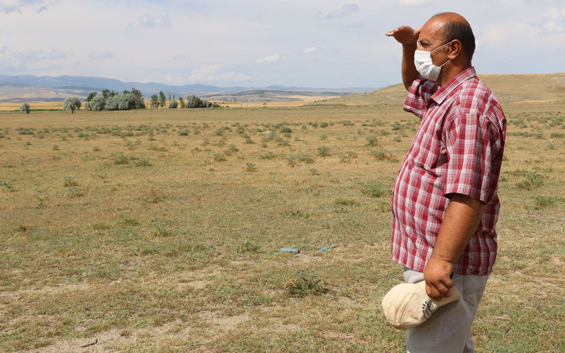 Çorum'da aslan ihbarı yağıyor! Başka köylerde de görüldü - Resim: 2