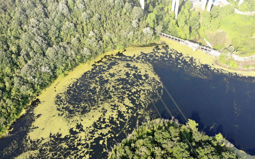 İstanbul için korkutan görüntü! Su kaynağının rengi değişti - Resim: 2