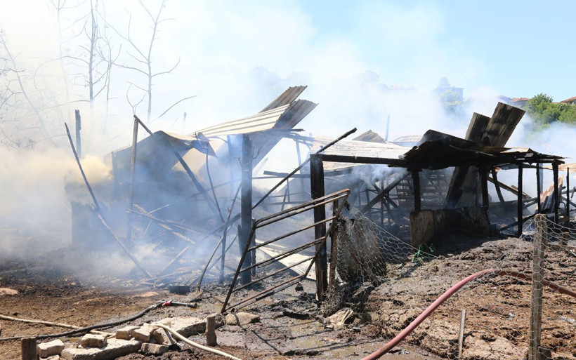 Kocaeli'nde ailesine sinirlenen kadın ahırı yaktı! Hayvanlar son anda kurtuldu - Resim: 1