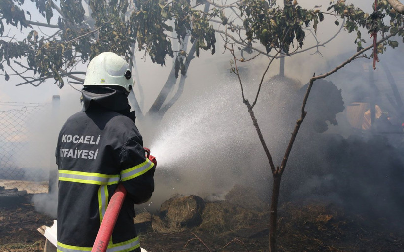 Kocaeli'nde ailesine sinirlenen kadın ahırı yaktı! Hayvanlar son anda kurtuldu - Resim: 2