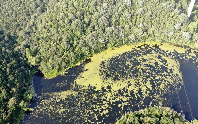 İstanbul için korkutan görüntü! Su kaynağının rengi değişti - Resim: 3