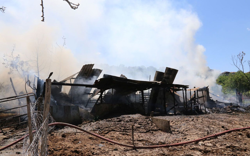 Kocaeli'nde ailesine sinirlenen kadın ahırı yaktı! Hayvanlar son anda kurtuldu - Resim: 4