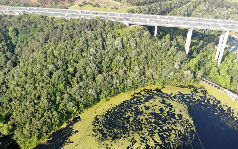 İstanbul için korkutan görüntü! Su kaynağının rengi değişti - Resim: 1