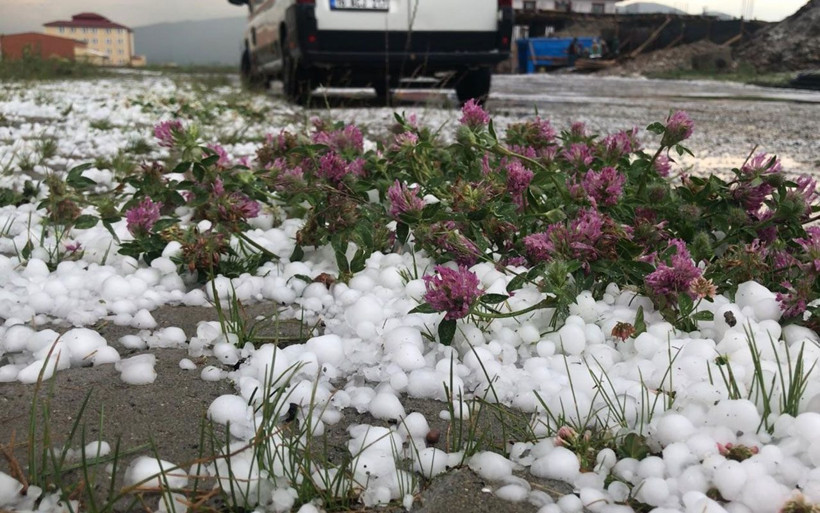 Kars Sarıkamış'ta ceviz büyüklüğünde dolu yağdı! Zor anlar yaşattı - Resim: 3