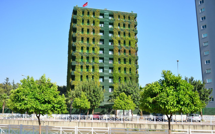 Adana'da sarmaşıklarla kaplı bina huzur veriyor değeri 1 milyon lira - Resim: 2