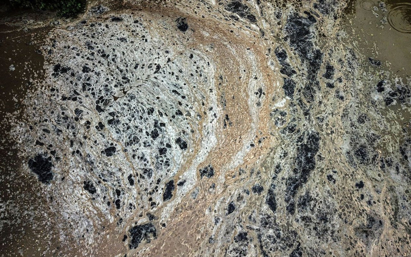 İstanbul'da atık sular Aydos Gölü'nü tehdit ediyor! Manzara içler acısı - Resim: 1