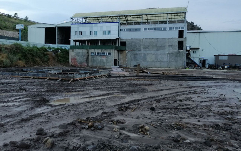 Amasya'da 30 büyükbaş hayvan sele kapıldı! Telef oldular - Resim: 4