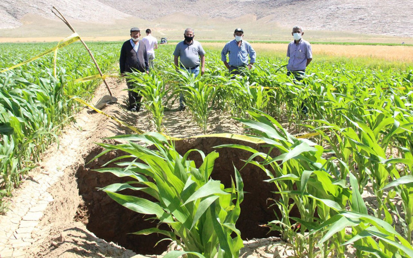 Karaman'da mısır tarlasında oluşan obruk ürküttü derin çukur açıldı - Resim: 3