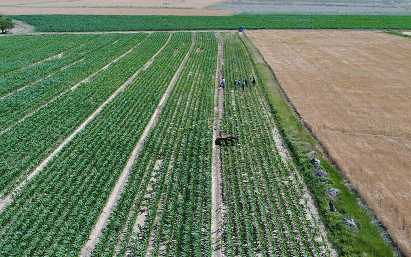 Karaman'da mısır tarlasında oluşan obruk ürküttü derin çukur açıldı - Resim: 4
