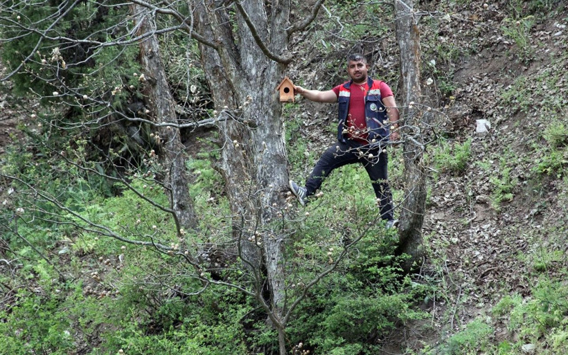 Sivas'ta istilacı tırtıllara karşı 'Sahra' adlı ışıklı tuzak kuruldu - Resim: 3