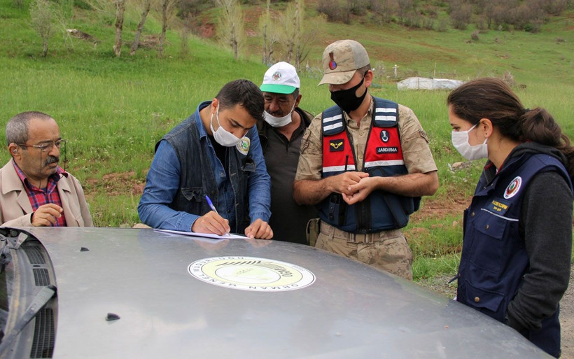 Sivas'ta istilacı tırtıllara karşı 'Sahra' adlı ışıklı tuzak kuruldu - Resim: 4