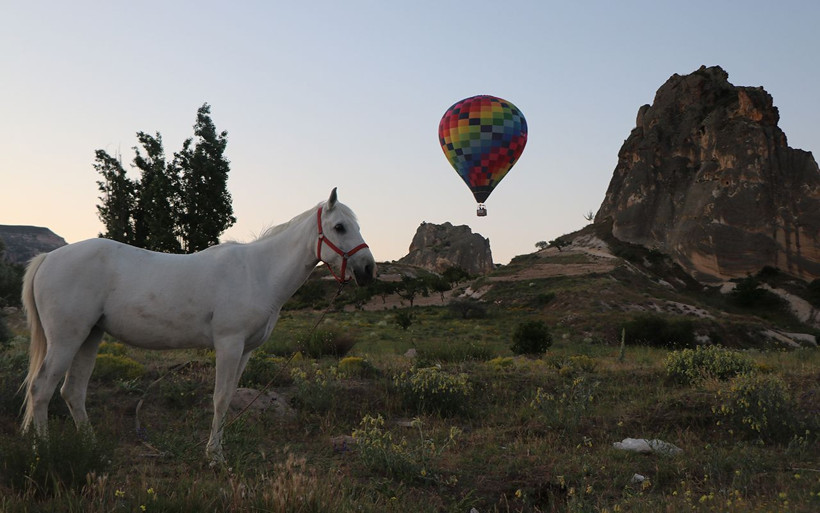 Nevşehir Kapadokya'da sıcak hava balon turları 1 Ekim'e kadar yapılamayacak - Resim: 1