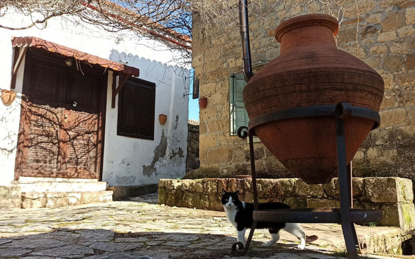 Çanakkale'deki 800 yıllık tarihi köy! Her yıl 200 bin turisti akın ediyor - Resim: 4