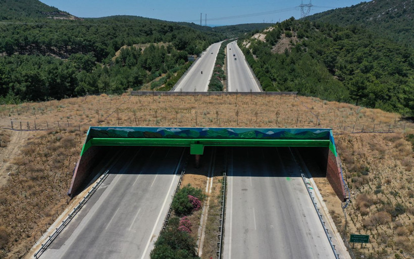 İzmir'de yaban hayvanları için yapılan 'Ekolojik köprünün' yapımı tamamlandı - Resim: 3