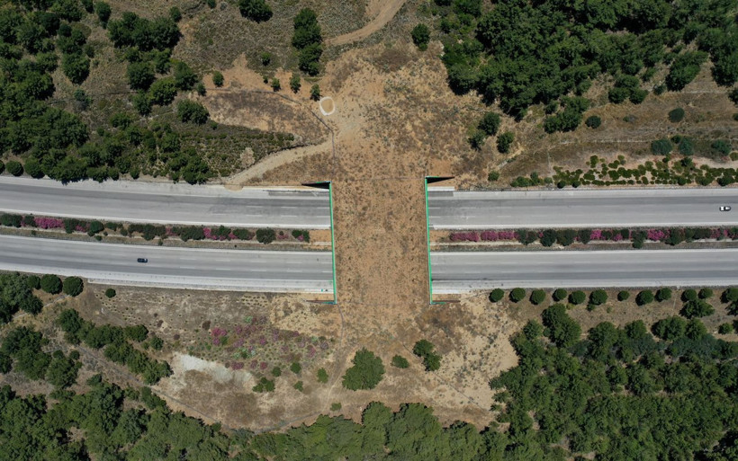 İzmir'de yaban hayvanları için yapılan 'Ekolojik köprünün' yapımı tamamlandı - Resim: 4