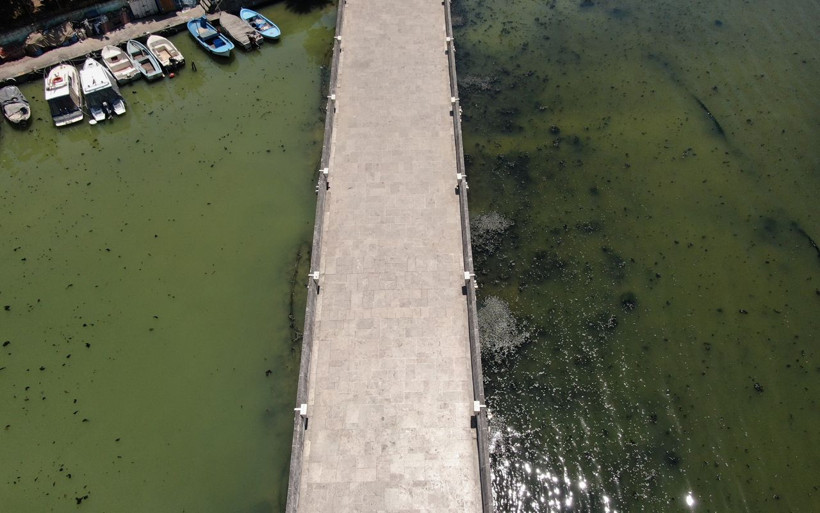 Küçükçekmece Gölü kuş cenneti diye biliniyordu şimdi balık mezarı oldu - Resim: 3