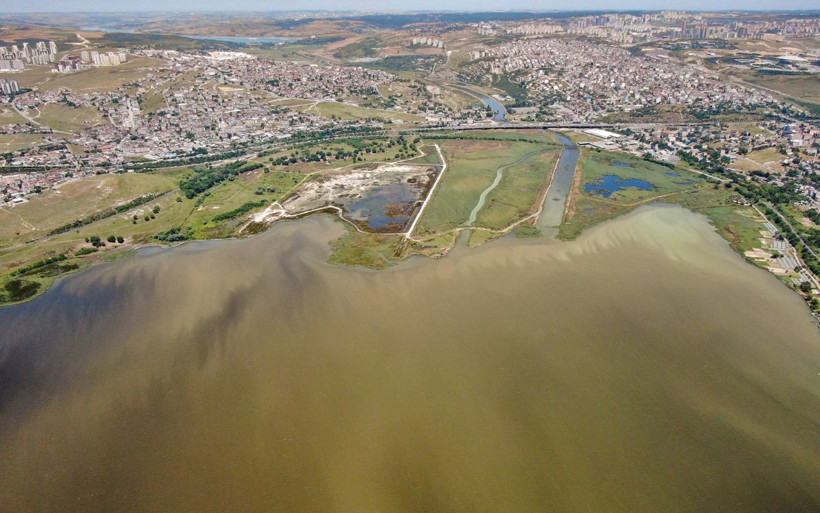 Küçükçekmece Gölü kuş cenneti diye biliniyordu şimdi balık mezarı oldu - Resim: 2