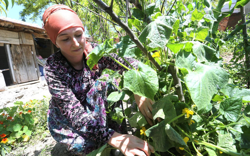 Bursa'da Rus kadının hayvancılık merakı dört dil biliyor iki üniversite bitirdi - Resim: 1