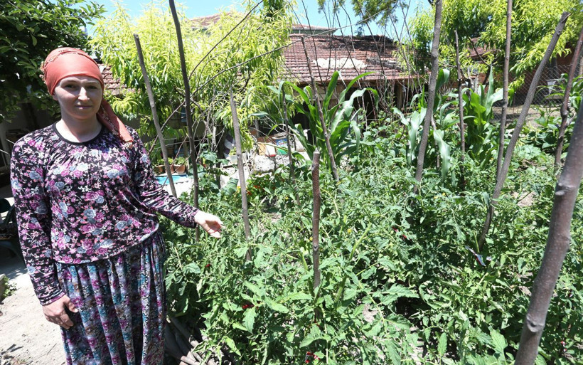 Bursa'da Rus kadının hayvancılık merakı dört dil biliyor iki üniversite bitirdi - Resim: 2