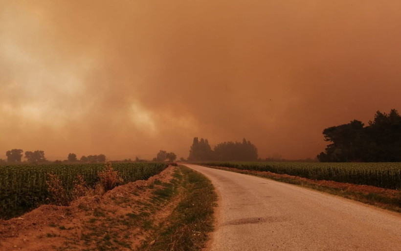 Çanakkale Gelibolu'da orman yangını! Ekipler canla başla müdahale ediyor - Resim: 2