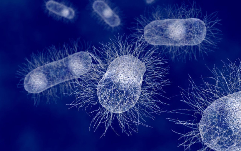 Prof. Dr. Mehmet Ceyhan açıkladı: Beyin yiyen amip Türkiye'de de var - Resim: 4