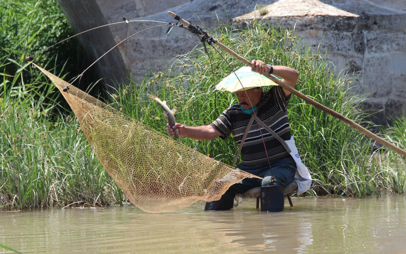 Sivas'ta balıklara seslenen adam! Kızılırmak'a oturup avlıyor - Resim: 1