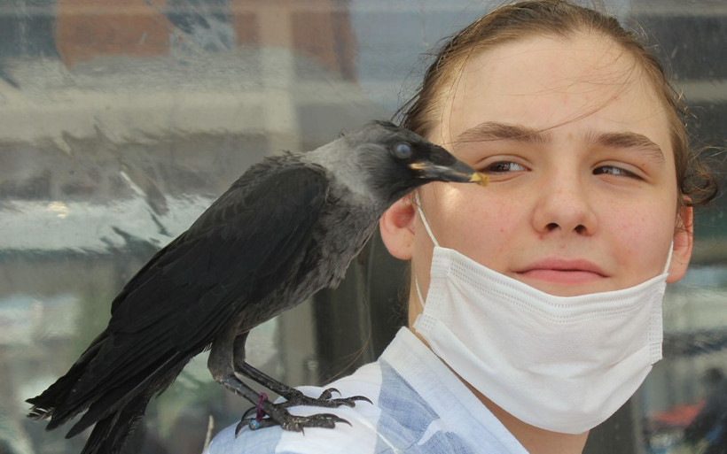 Bursa'da hayatını kurtardığı karga en yakın dostu oldu - Resim: 1