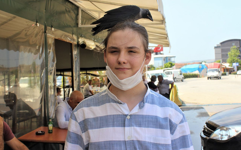 Bursa'da hayatını kurtardığı karga en yakın dostu oldu - Resim: 2