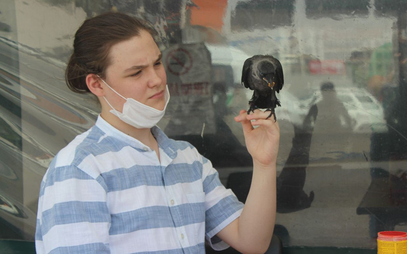 Bursa'da hayatını kurtardığı karga en yakın dostu oldu - Resim: 4