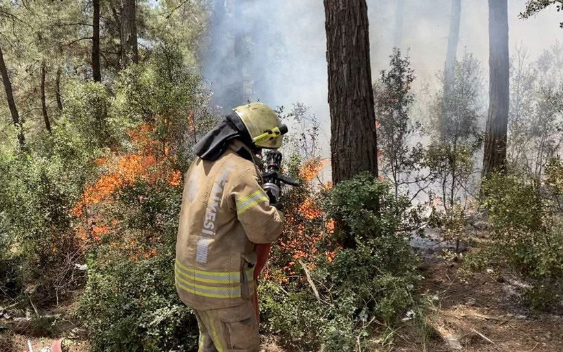 Sarıyer'de 500 metrekarelik ormanlık alan yanarak kül oldu! - Resim: 3
