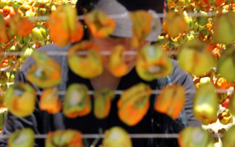 Gaziantep'te 'Kurutmalık' sezonu başladı dolmalık biber nakış nakış ipe diziliyor - Resim: 3