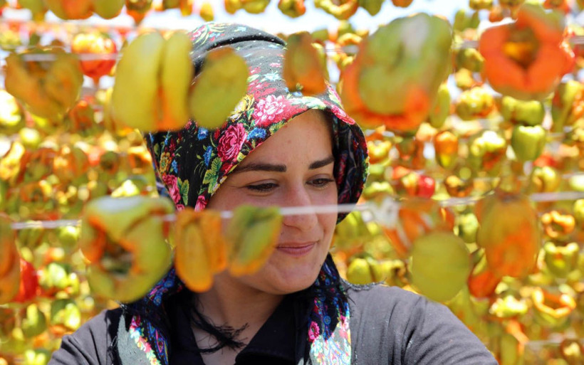Gaziantep'te 'Kurutmalık' sezonu başladı dolmalık biber nakış nakış ipe diziliyor - Resim: 1