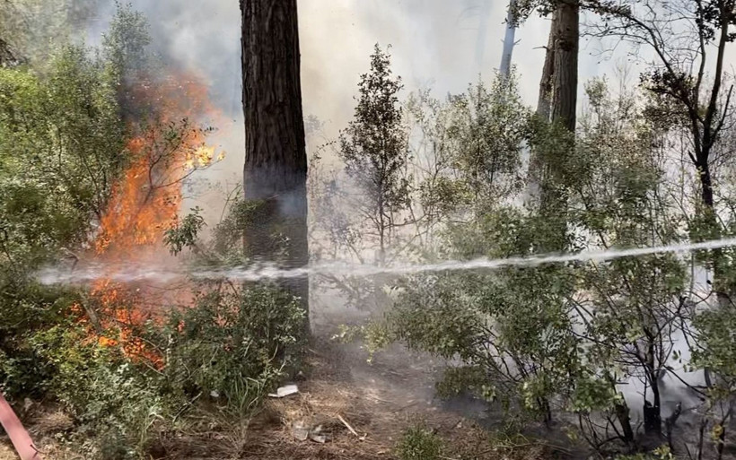 Sarıyer'de 500 metrekarelik ormanlık alan yanarak kül oldu! - Resim: 1