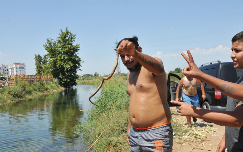 Antalya'da yılanlı kanala rağmen sıcak havada serinlediler - Resim: 3