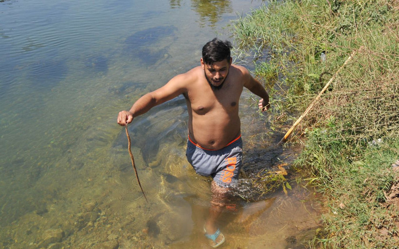 Antalya'da yılanlı kanala rağmen sıcak havada serinlediler - Resim: 2