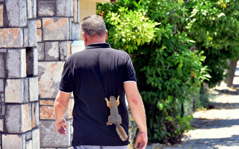 Muğla'da bitkin halde bulduğu sincap ailenin üyesi oldu - Resim: 3