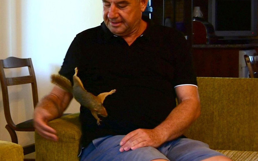 Muğla'da bitkin halde bulduğu sincap ailenin üyesi oldu - Resim: 4