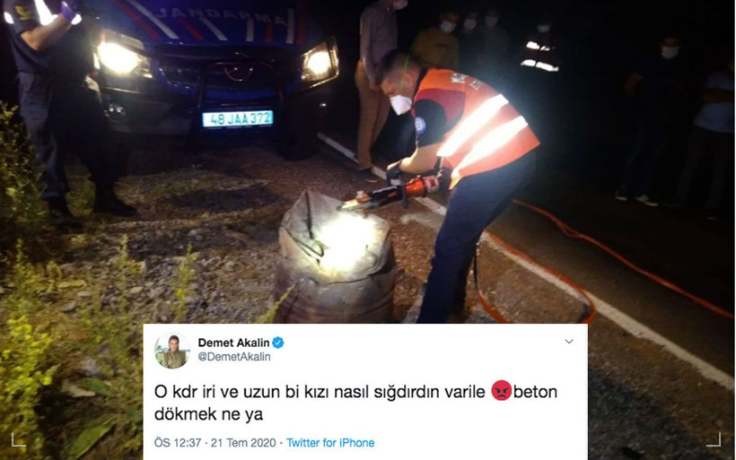 Demet Akalın Pınar Gültekin için attığı densiz 'varil' twitini savundu! - Resim: 3