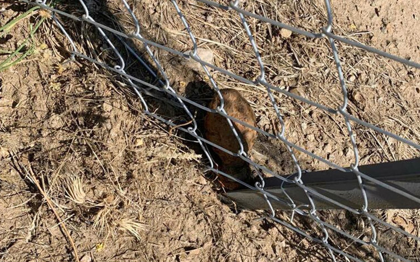 Manisa'da el bombası paniği! Kurtuluş Savaşı'ndan kaldığı iddia edildi - Resim: 1