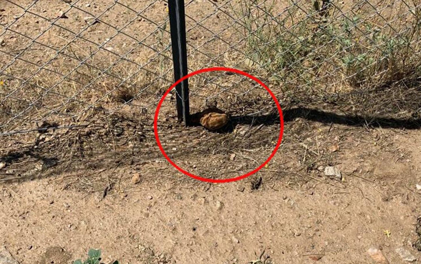 Manisa'da el bombası paniği! Kurtuluş Savaşı'ndan kaldığı iddia edildi - Resim: 4