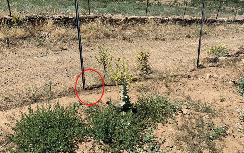 Manisa'da el bombası paniği! Kurtuluş Savaşı'ndan kaldığı iddia edildi - Resim: 3