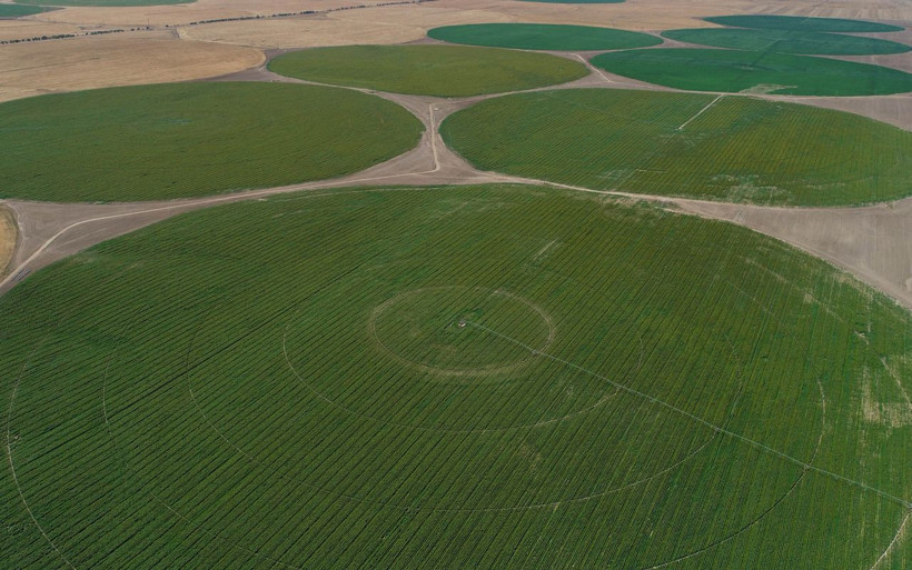 Konya'da çok ilginç tarlalar! Uzaylılar değil Konyalılar yaptı bakın sebebi ne - Resim: 2