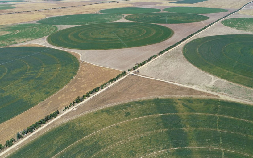 Konya'da çok ilginç tarlalar! Uzaylılar değil Konyalılar yaptı bakın sebebi ne - Resim: 1