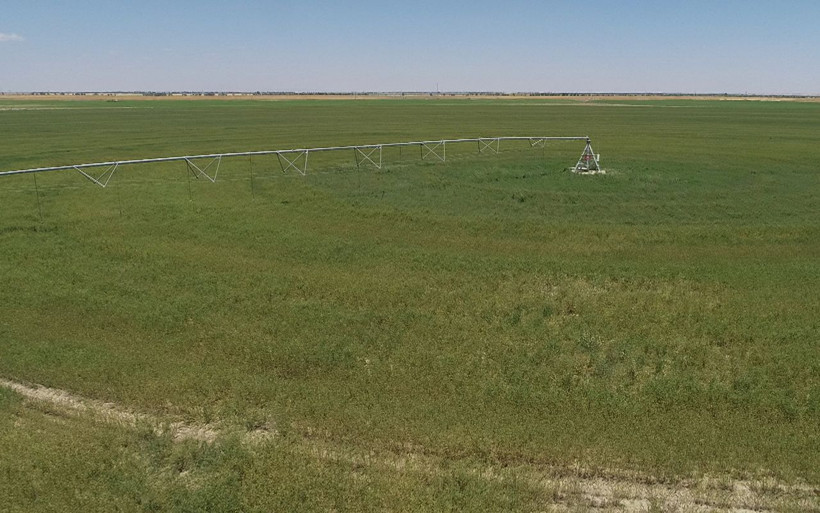 Konya'da çok ilginç tarlalar! Uzaylılar değil Konyalılar yaptı bakın sebebi ne - Resim: 3