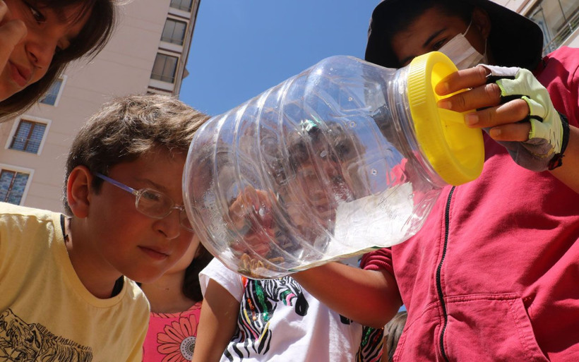 Sivas'ın korkulu rüyası ortaya çıktı! Sarıkız örümceği avıyla görüldü - Resim: 4