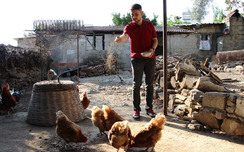 Aydın'da beslediği tavukların yumurtası şoke etti günler sonra gerçeği anladı - Resim: 1