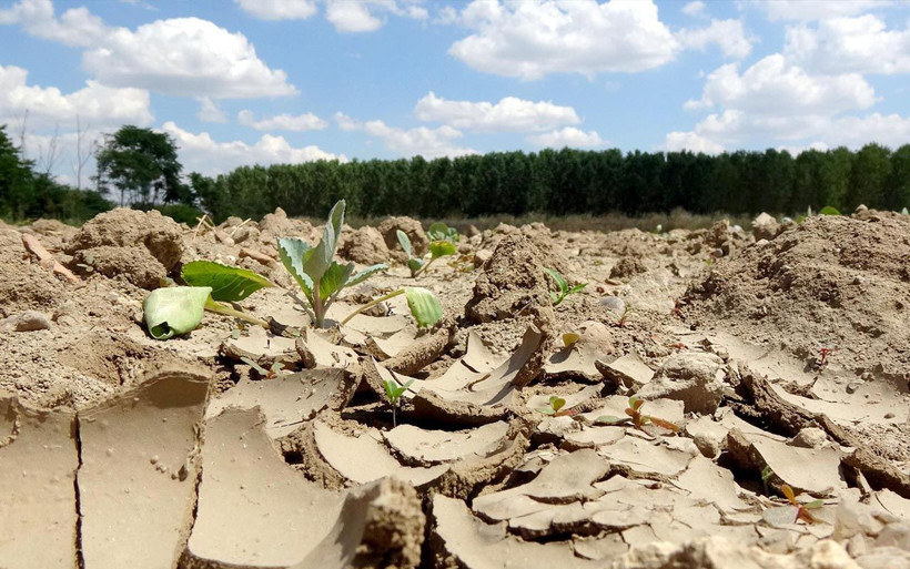 Edirne'de kuraklık felaketi! Nehirlerin suyu azaldı, su kuyuları kurudu - Resim: 3