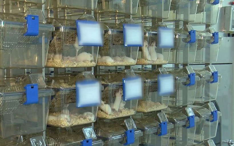 Koronavirüse karşı ilaç ve aşı geliştiren tesis ilk defa görüntülendi! Fareler üzerinde deneniyor - Resim: 3