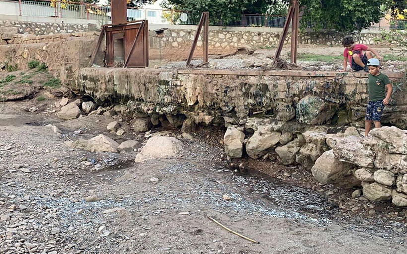 Manisa'da balık mezarından adım atacak yer kalmadı iki durum sebep oldu - Resim: 2