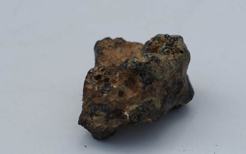 Kastamonu'da sarımsak toplarken buldu! Parıldıyor ve çekimi var - Resim: 1